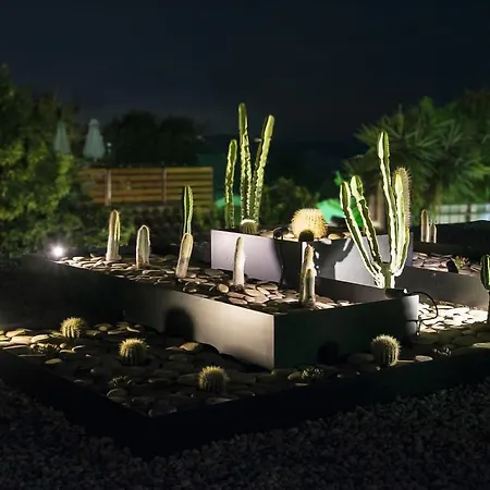 Ionian Eye Design & * Mesongí