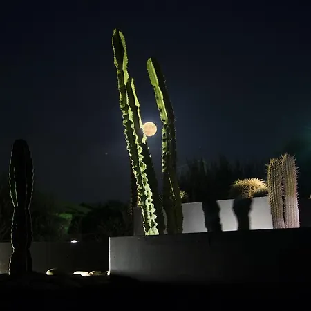 Ionian Eye Design & * Mesongí