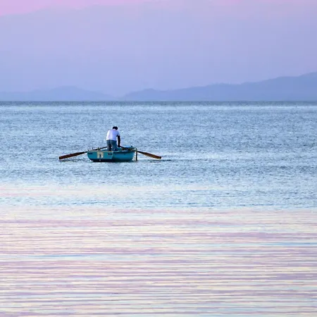 Ionian Eye Design & Mesongí