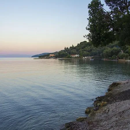 Daire Ionian Eye Design &